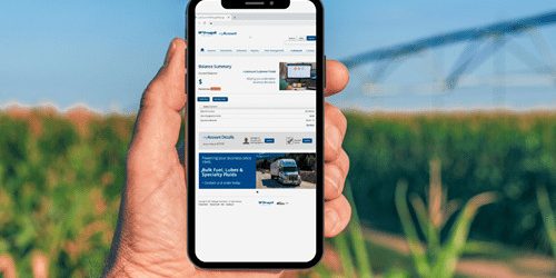 myaccountportal_image1.png